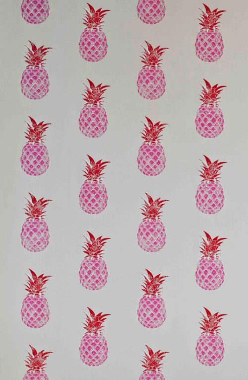 Barneby Gates - Pineapple - Red_Pink - Flat - 2