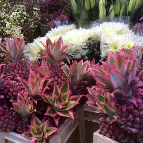 Pineapple_flower market